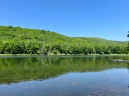 Long Pond Views