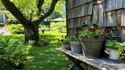 Rose Cottage