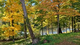 Riverside - Image 4