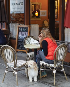 Your Guide to Great Barrington