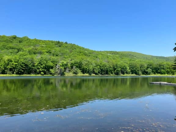 Long Pond Views