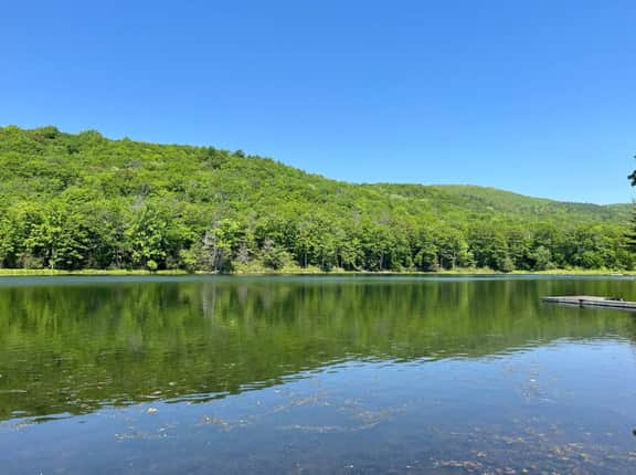 Long Pond Views