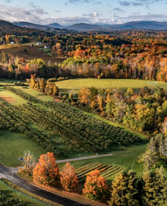 36 Hours in the Berkshires